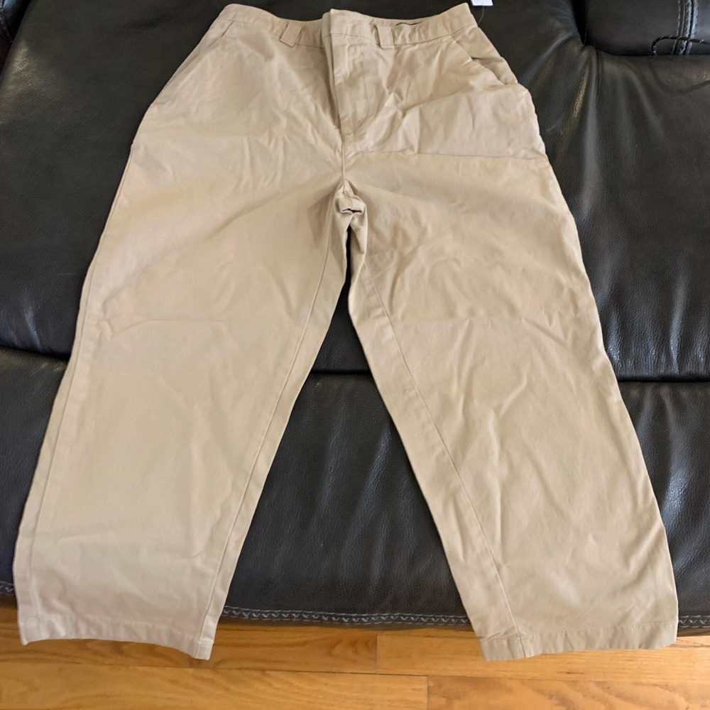 GAP Tan Wide-Leg Cropped Chinos